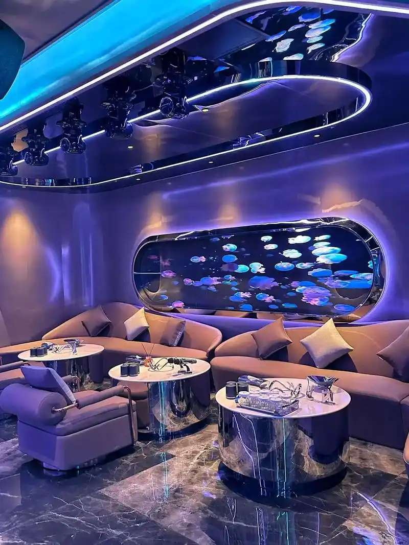 百色商务KTV独享单人包间-乐业县ktv预定